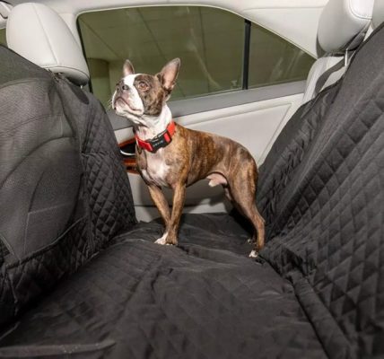 What is the best seat cover material for dogs?