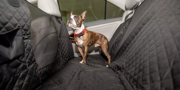 What is the best seat cover material for dogs?