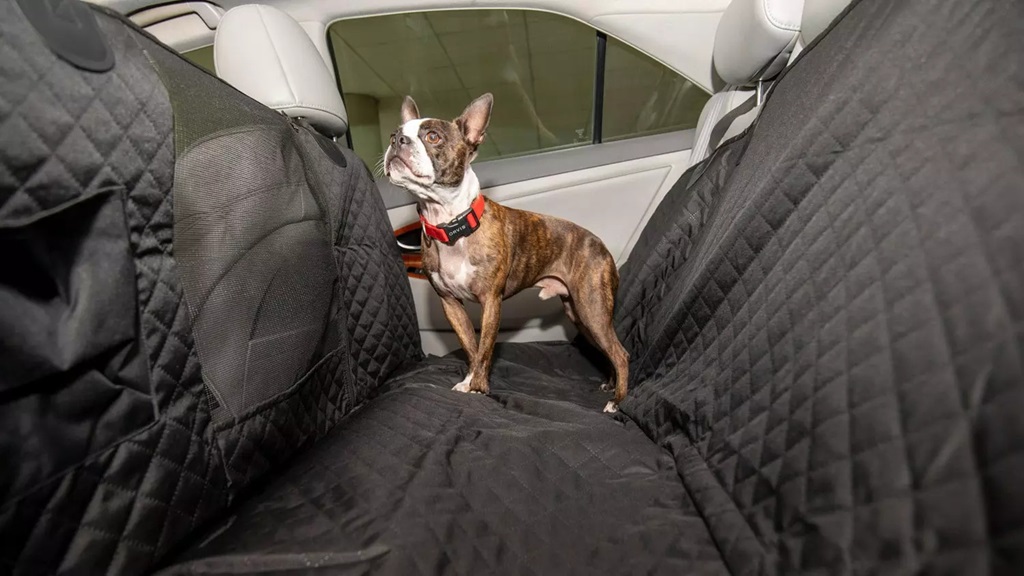 What is the best seat cover material for dogs?