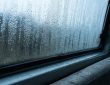 Van window covered with condensation during a rainy Seattle morning